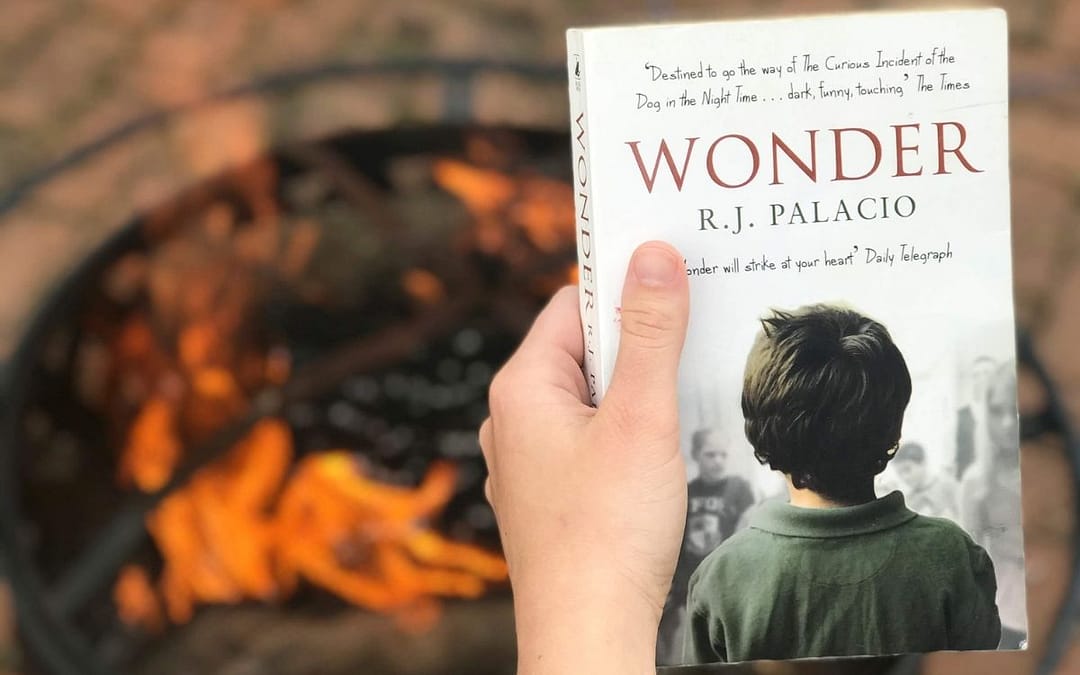 wonder book review new york times