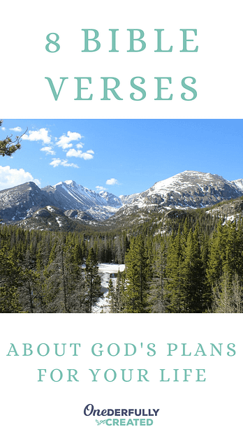 8 Bible Verses About God S Plans For Your Life Becca Wierwille